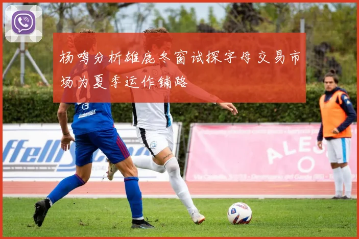 杨鸣分析雄鹿冬窗试探字母交易市场为夏季运作铺路